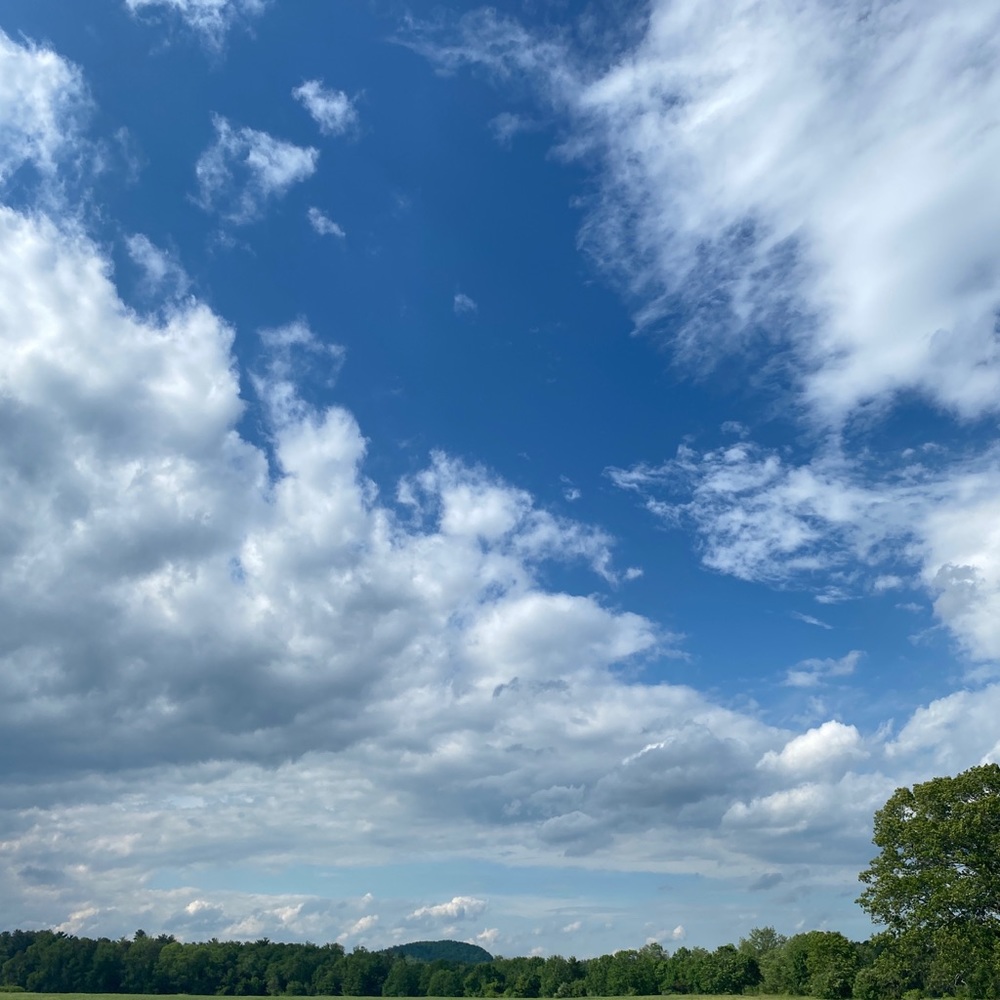 Meet your Posher, Veda